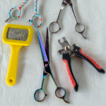 Certified Groomer Image